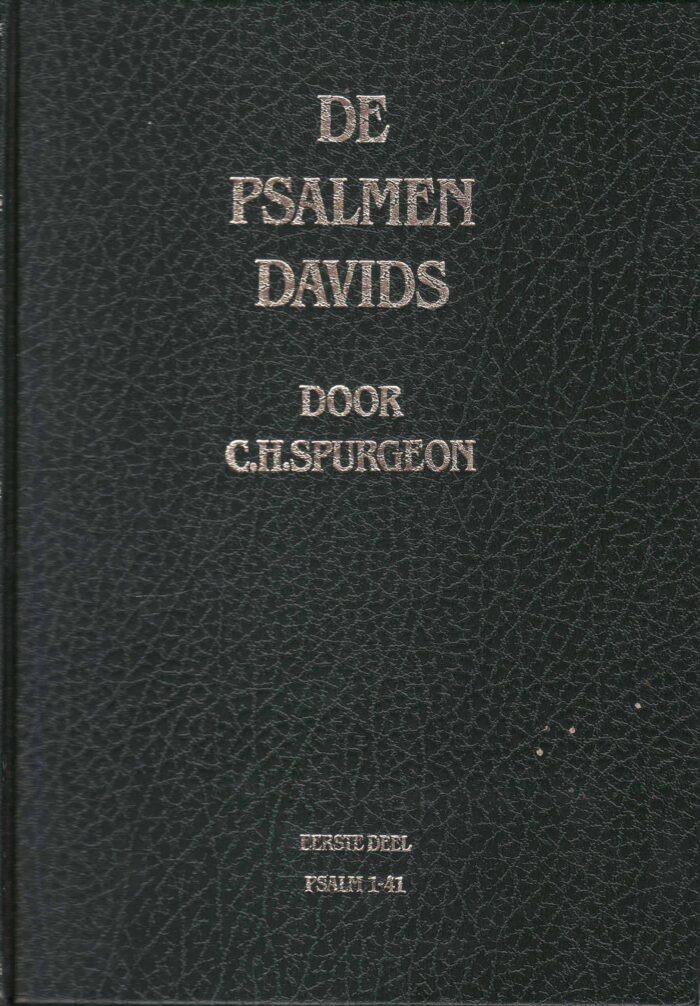 De_Psalmen_David_4dcd4648d7da3.jpg