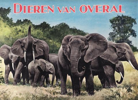 Dieren_van_overa_4ef5fd3caa2df.jpg