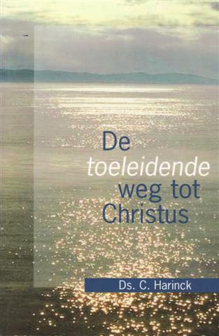 De_toeleidende_w_50adc7f6b71cc.jpg