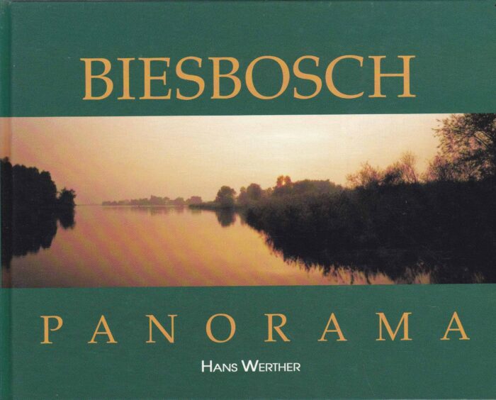 Hans Werther: Biesbosch panorama