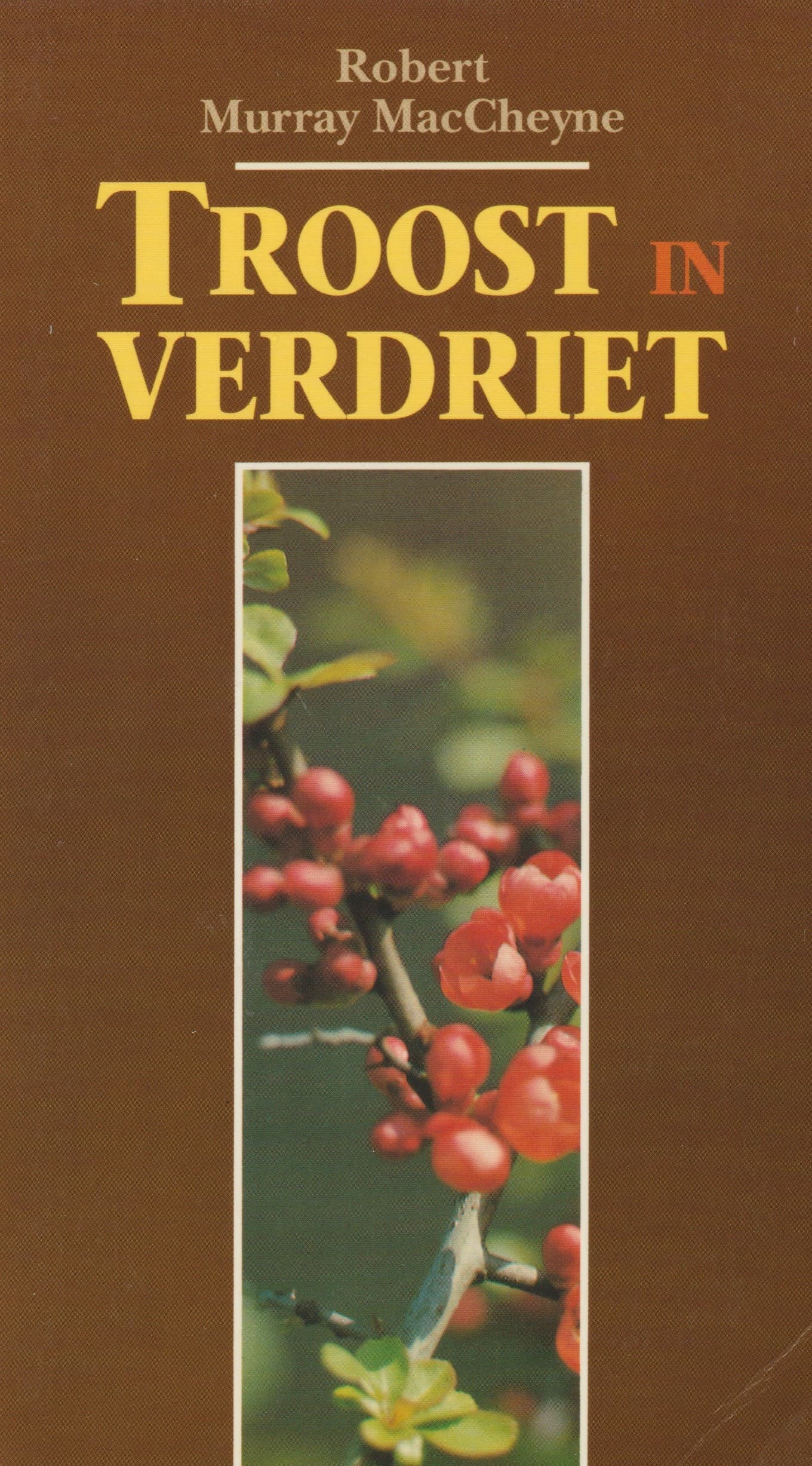 MacCheyne, Robert Murray: Troost in verdriet