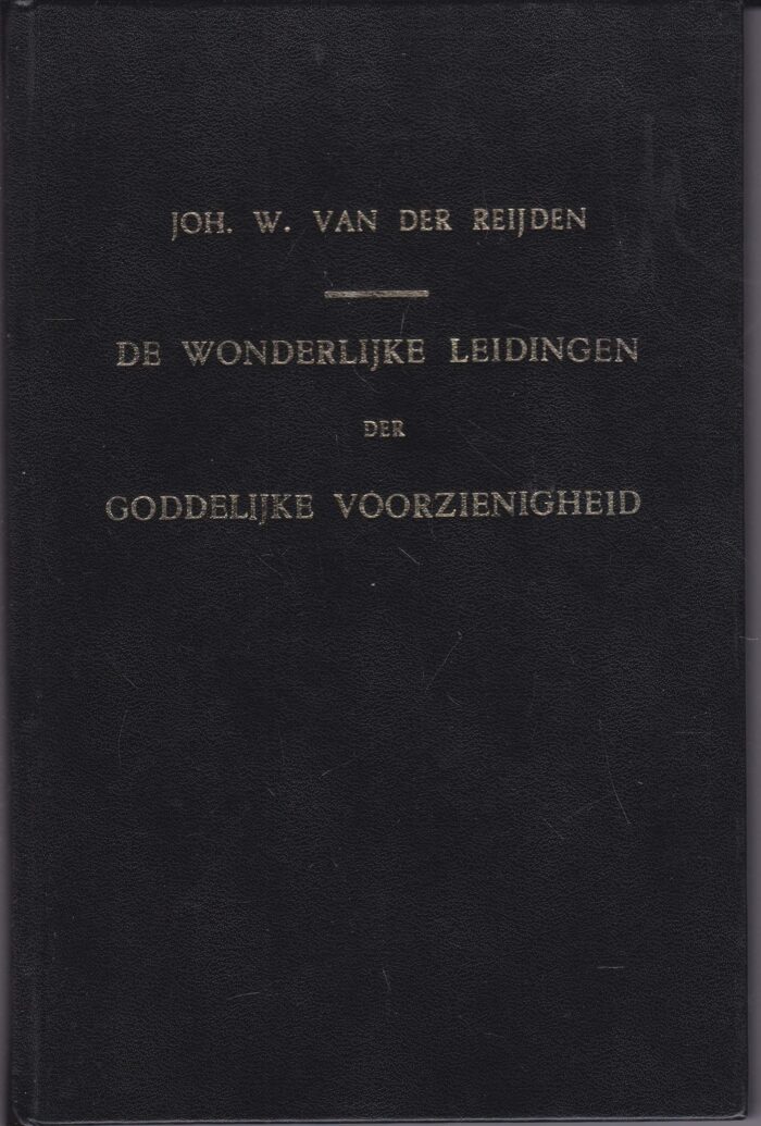 Reijden, Joh. W. van der: De wonderlijke leidingen der Goddelijke Voorzienigheid
