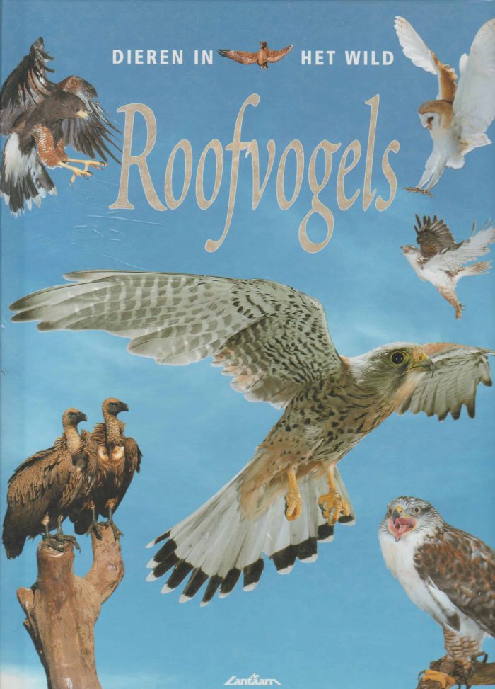 Kerrod, Robin: Roofvogels. Serie: dieren in het wild