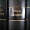 Dachsel, K. Aug.: Bijbelverklaring Nieuwe Testament (compleet in 5 delen) - Afbeelding 2