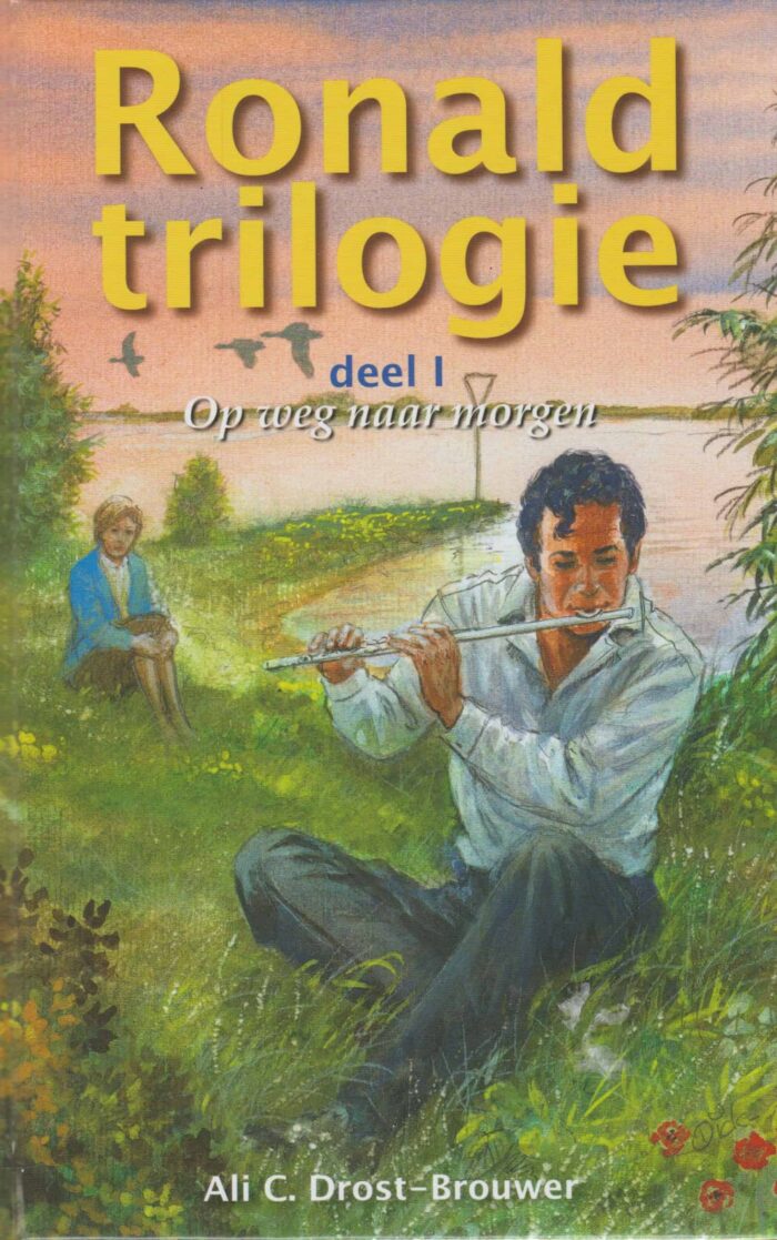 Drost-Brouwer, Ali C.: Op weg naar morgen. Ronald trilogie deel 1.