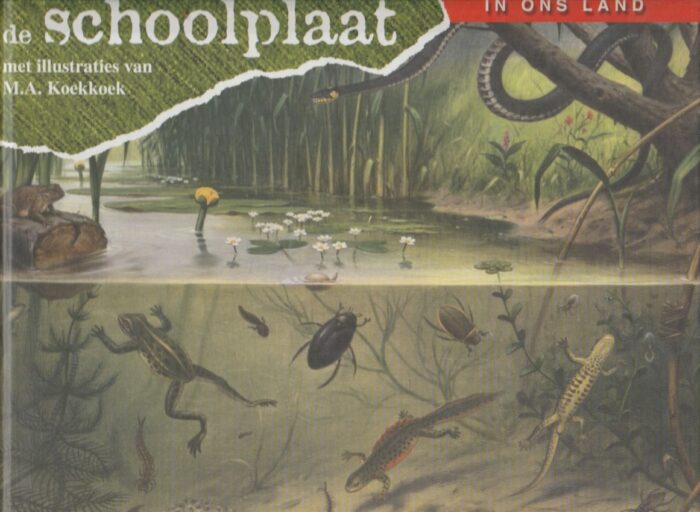 Koekkoek, M.A.: De schoolplaat in ons land