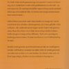 Lewis, Beverly: De breuk (roman) - Afbeelding 2
