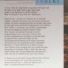 Thoene, Bodie & Brock: Onweer boven Jeruzalem (roman) De erfenis van Sion deel 2 - Afbeelding 2