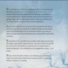 Thoene, Bodie & Brock: Verbond. Anno Domini kronieken deel 6 (roman) - Afbeelding 2