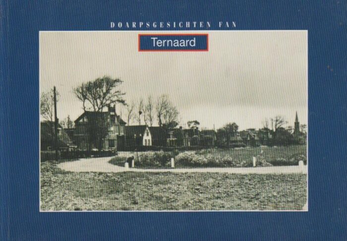 Graaf van der Meer, P. de: Doarpgesichten van Ternaard