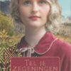 Mason, Susan Anne: Tel je zegeningen. Roman (nieuw en nu in de aanbieding)