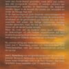 Rosenberg, Joel C.: De tempelcodex (thriller) - Afbeelding 2