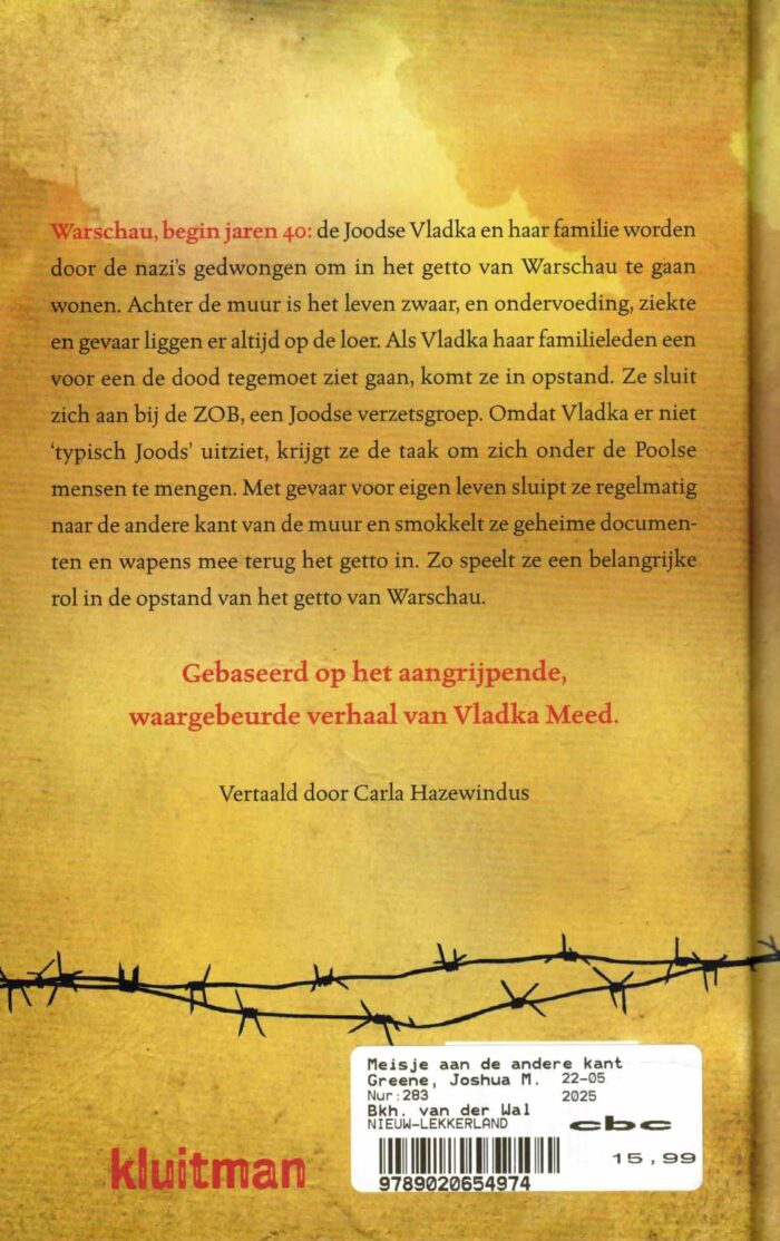 Greene, Joshua M.: Het meisje aan de andere kant van de muur (nieuw) - Afbeelding 2