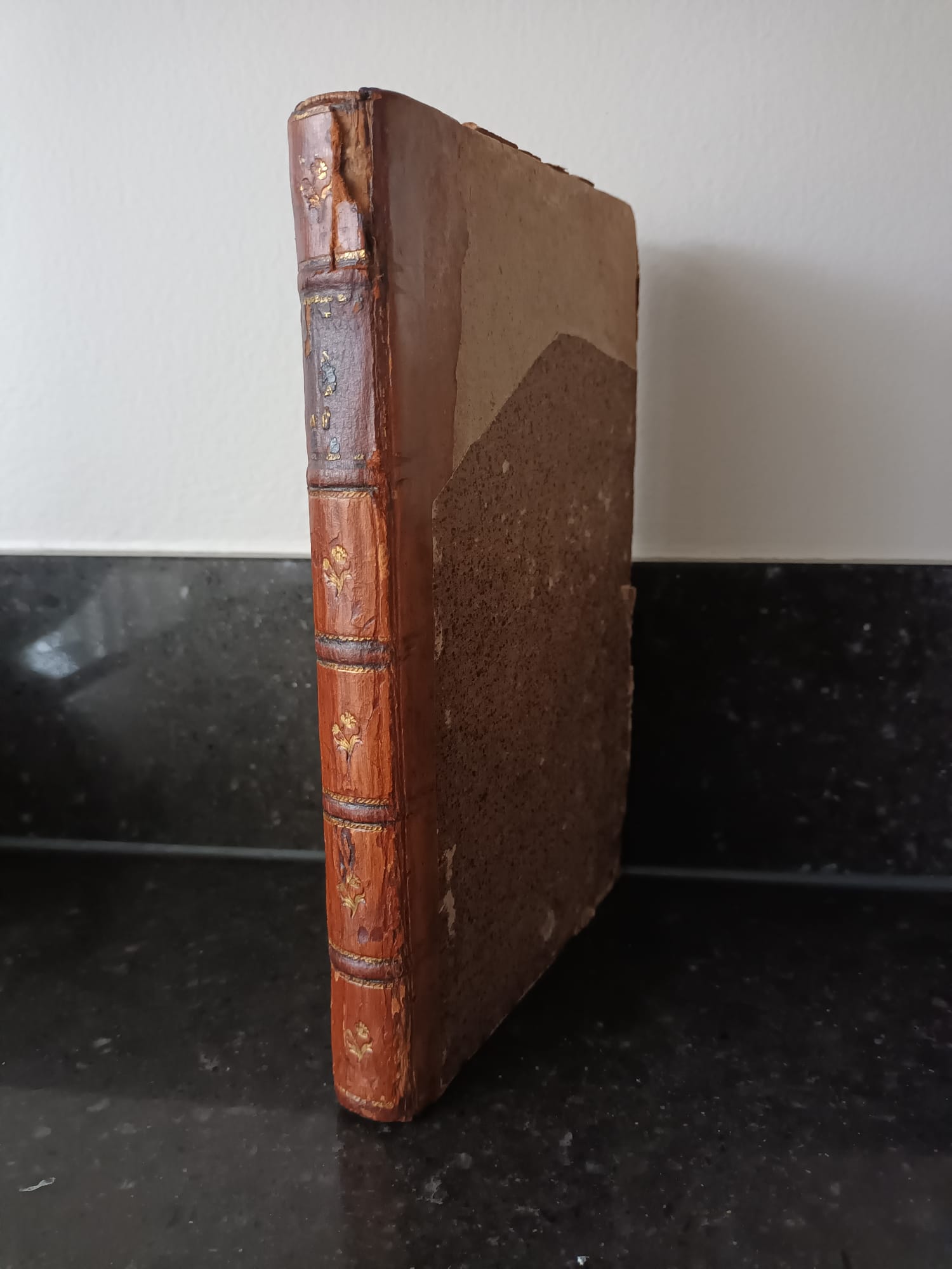 's Gravezande, Adrianus: Twee honderd jarige gedachtenis aan het eerste synode der Nederlandsche kerken